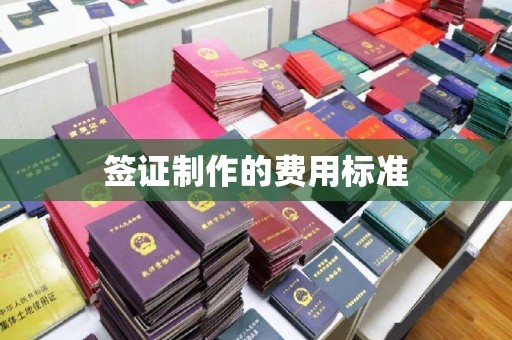 雁峰签证制作的费用标准
