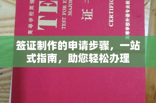 海口签证制作的申请步骤，一站式指南，助您轻松办理